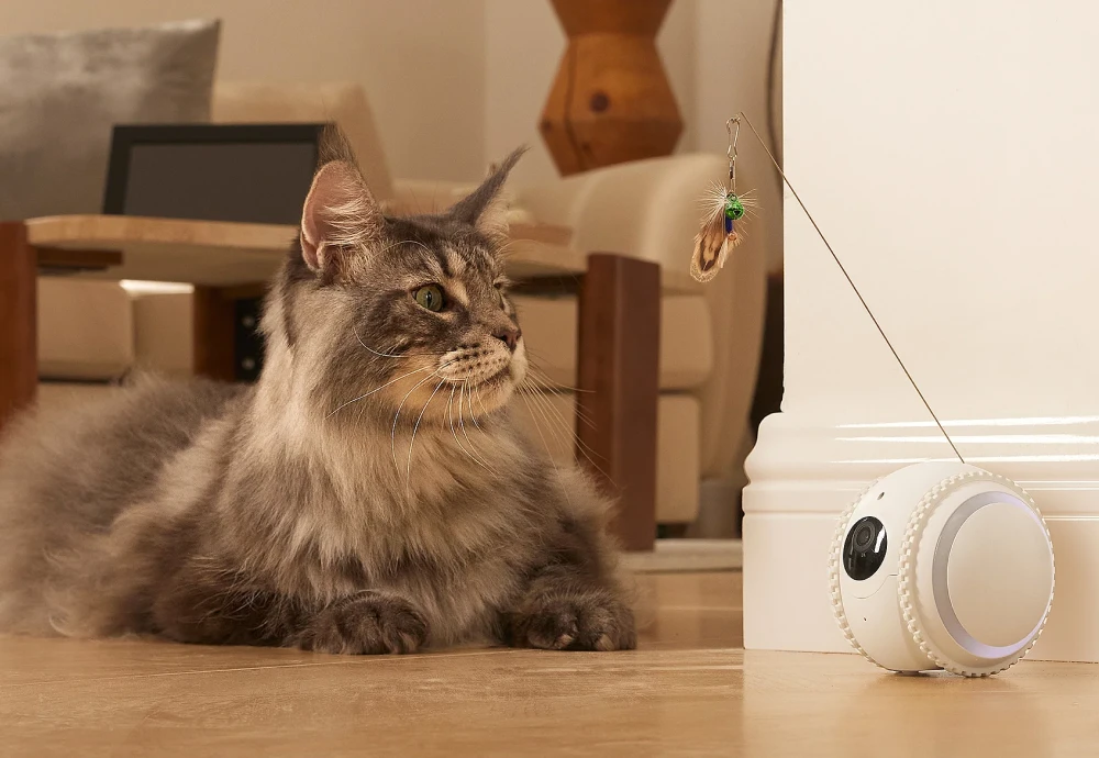 pet camera that moves