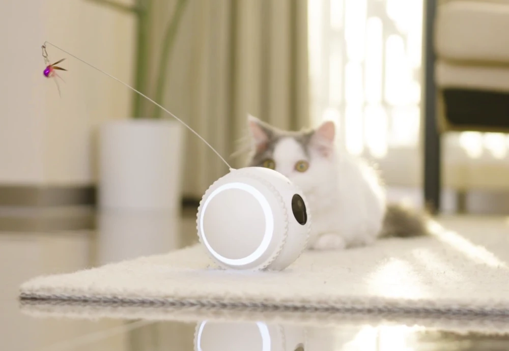 pet camera that moves