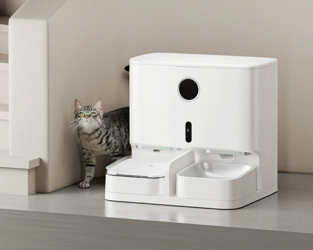 cat feeder with camera