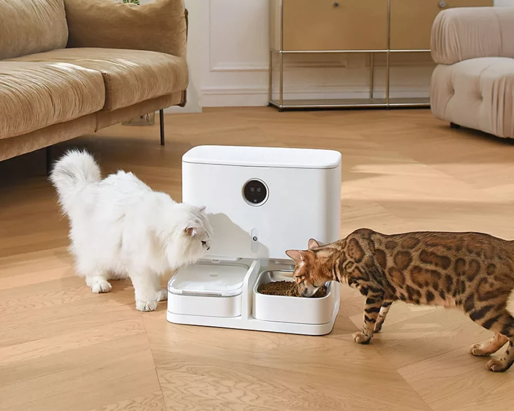 cat feeder with camera